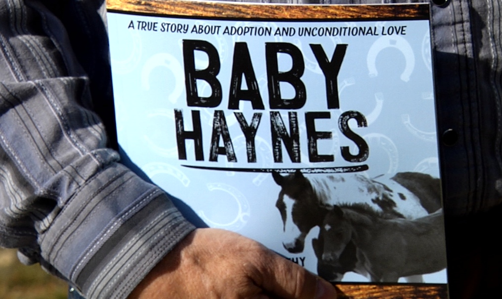 Baby haynes